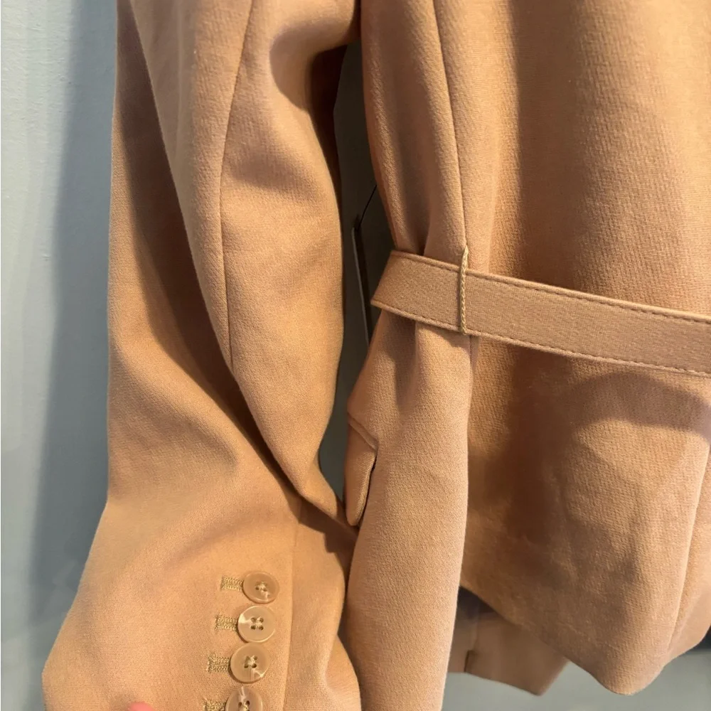 Express Tan blazer preppy double breasted office workwear neutral minimalist - Picture 8 of 16